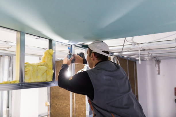 Best Cellulose Insulation  in Dolgeville, NY